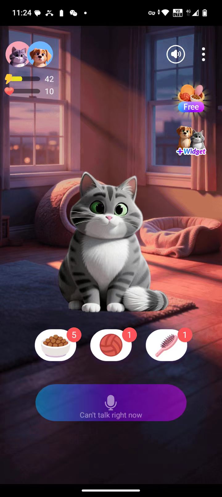 Pet product preview