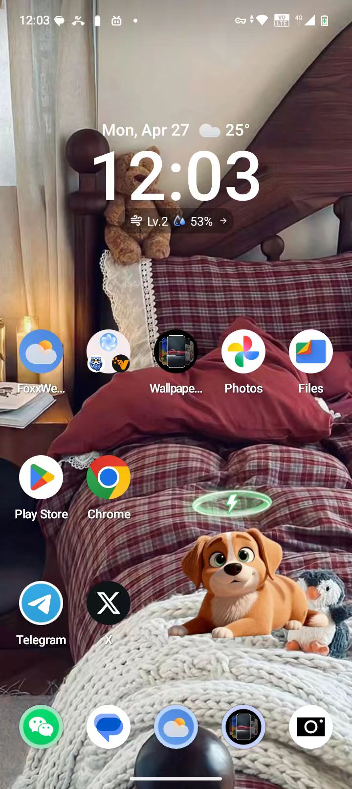 Pet product preview